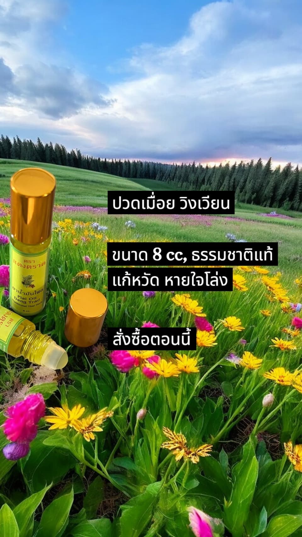 น้ำมันไพล ขนาด 8 ซีซี - ภาพที่ 2